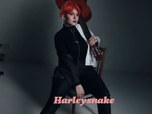 Harleysnake