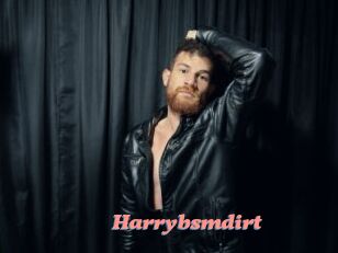 Harrybsmdirt