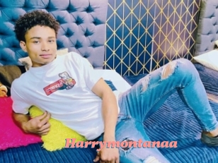 Harrymontanaa