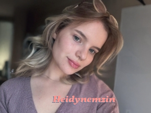 Heidynemzin