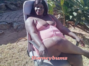 horneybums Webcam Sex Site