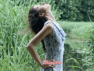 Ingera