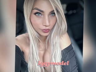 Iggymodel