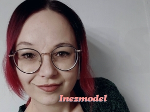 Inezmodel
