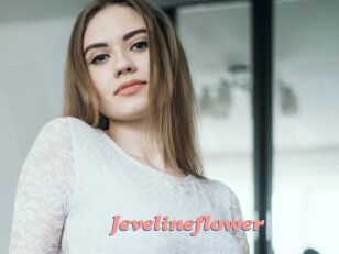 Jevelineflower