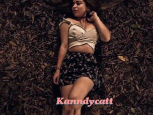 Kanndycatt