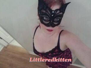 Littleredkitten