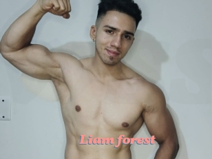Liam_forest
