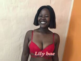 Lily_bae