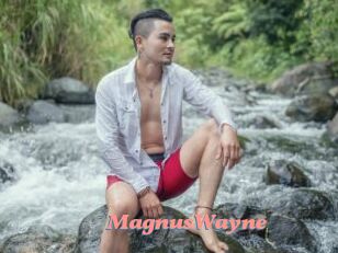 MagnusWayne
