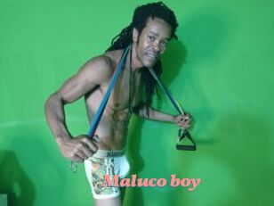 Maluco_boy