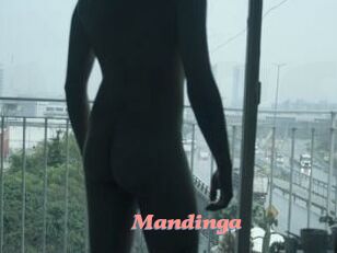Mandinga