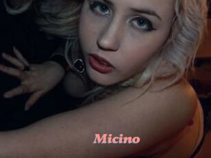 Micino