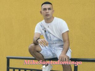 MikeSantodomingo