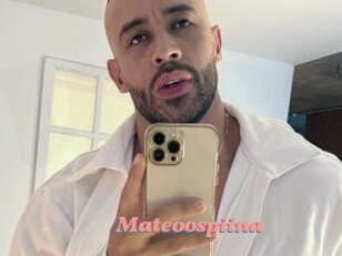 Mateoospiina