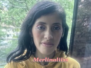 Merlinaliizz