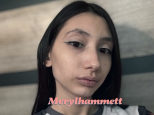 Merylhammett