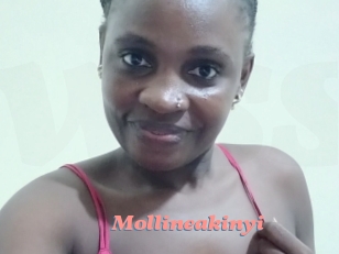 Mollineakinyi