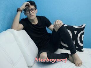 Niceboyserj