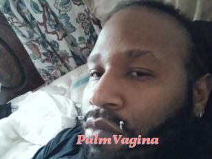 PalmVagina