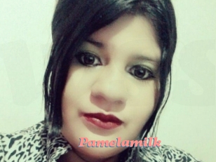 Pamelasuite