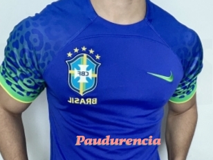 Paudurencia