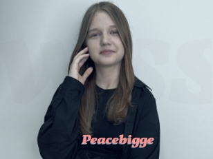 Peacebigge