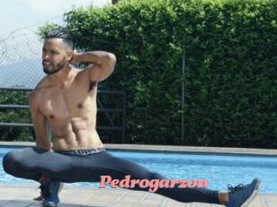 Pedrogarzon