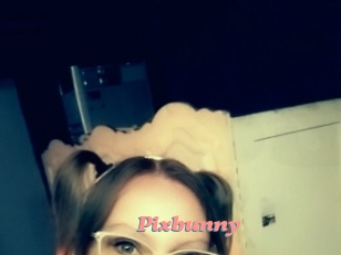 Pixbunny