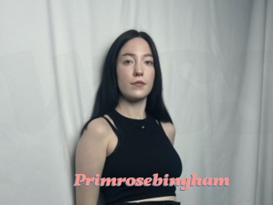 Primrosebingham