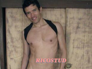 RICOSTUD Webcam Sex Site