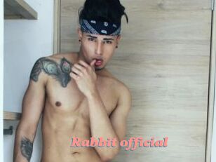 Rabbit_official