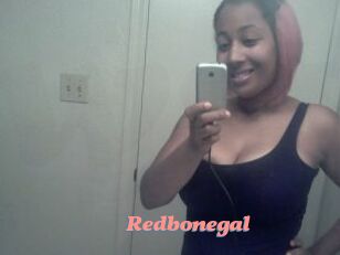 Redbonegal