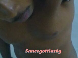Saucegottia18g