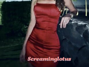 Screaminglotus