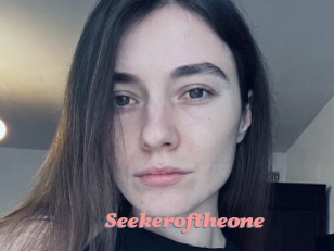Seekeroftheone