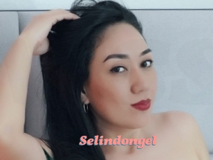 Selindongel