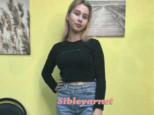 Sibleyarnet