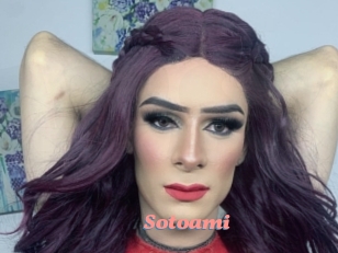 Sotoami