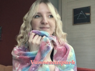 Vannessaspark