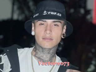 Vectorx073