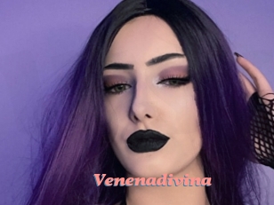 Venenadivina