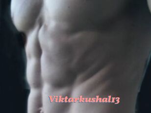 Viktarkushal13