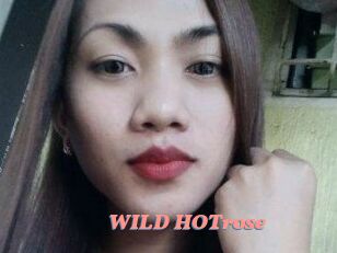 WILD_HOTrose
