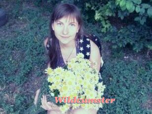 Wildcumster