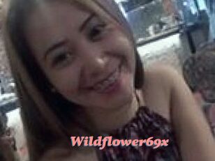 Wildflower69x