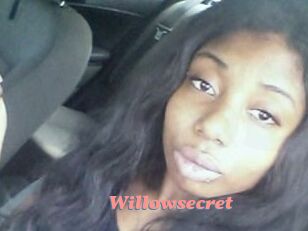 willow_secret Webcam Sex Site
