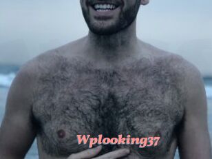 Wplooking37