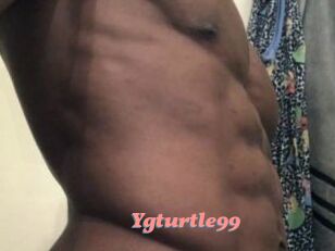 Ygturtle99